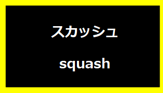 スカッシュ